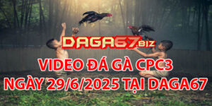 VIDEO ĐÁ GÀ CPC3 NGÀY 29/6/2025 TẠI DAGA67