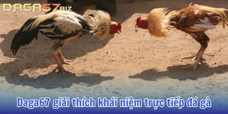 trực tiếp đá gà 67