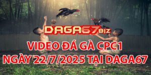 VIDEO ĐÁ GÀ CPC1 NGÀY 22/7/2025 TẠI DAGA67