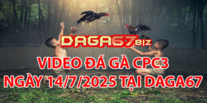 VIDEO ĐÁ GÀ CPC3 NGÀY 14/7/2025 TẠI DAGA67