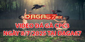 VIDEO ĐÁ GÀ CPC3 NGÀY 8/7/2025 TẠI DAGA67