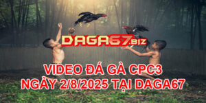 VIDEO ĐÁ GÀ CPC3 NGÀY 2/8/2025 TẠI DAGA67