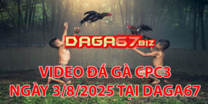 VIDEO ĐÁ GÀ CPC3 NGÀY 3/8/2025 TẠI DAGA67