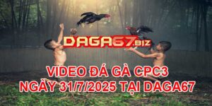 VIDEO ĐÁ GÀ CPC3 NGÀY 31/7/2025 TẠI DAGA67