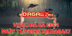 VIDEO ĐÁ GÀ CPC4 NGÀY 11/9/2025 TẠI DAGA67