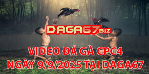 VIDEO ĐÁ GÀ CPC4 NGÀY 9/9/2025 TẠI DAGA67