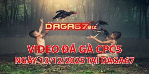 VIDEO ĐÁ GÀ CPC5 NGÀY 13/12/2025 TẠI DAGA67